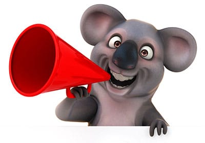 Why aren’t Koalas actual bears?