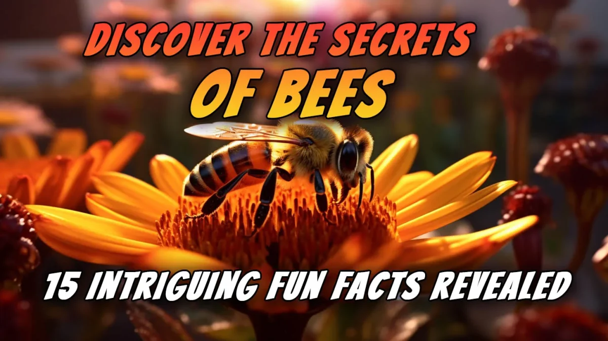 Discover The Secrets Of Bees