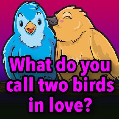 What do you call two birds in love?