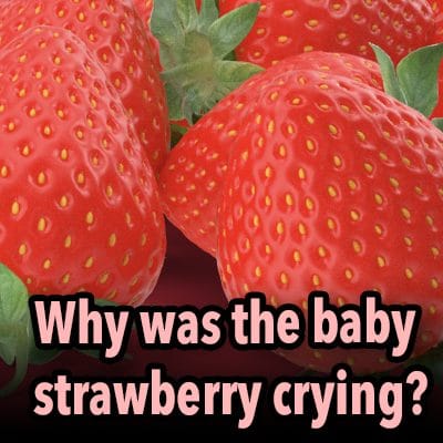 Why was the baby strawberry crying?